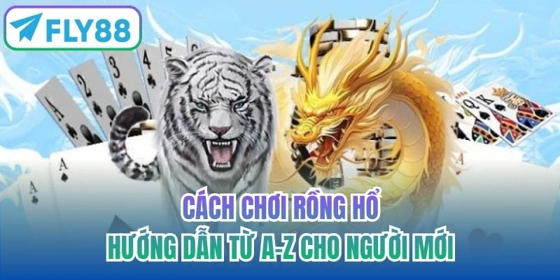 cách chơi rồng hổ FLY88